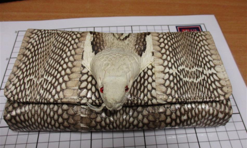 2017-5-31-127foto 4.JPG